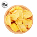 FD Dried Jackfruit Chips Hot Sale Healthy Snack